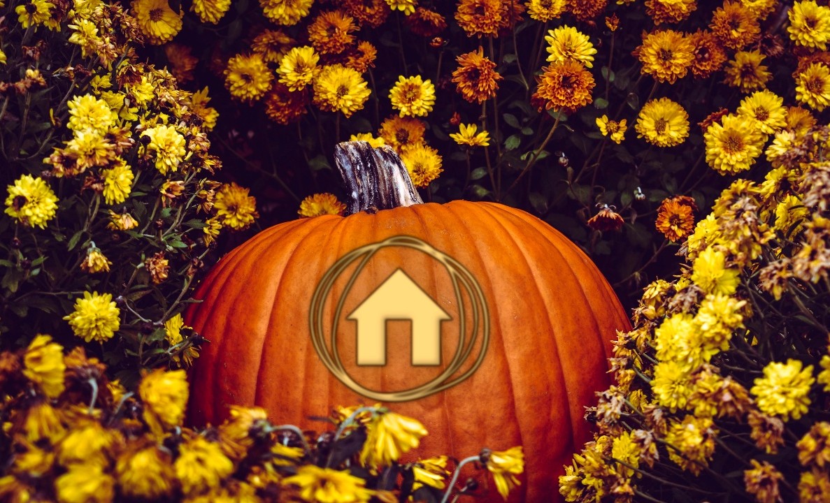 nh logo carved pumpkin final left small deep