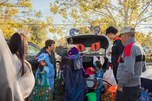 decorated car trunk for trunk or treat